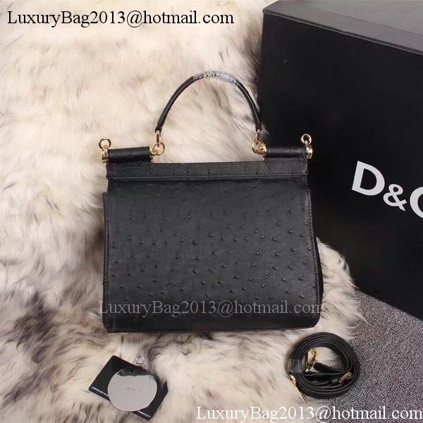 Dolce & Gabbana SICILY Bag Ostrich Leather BB4137TA Black Dolce & Gabbana SICILY Bag Ostrich Leather BB4137TA Black