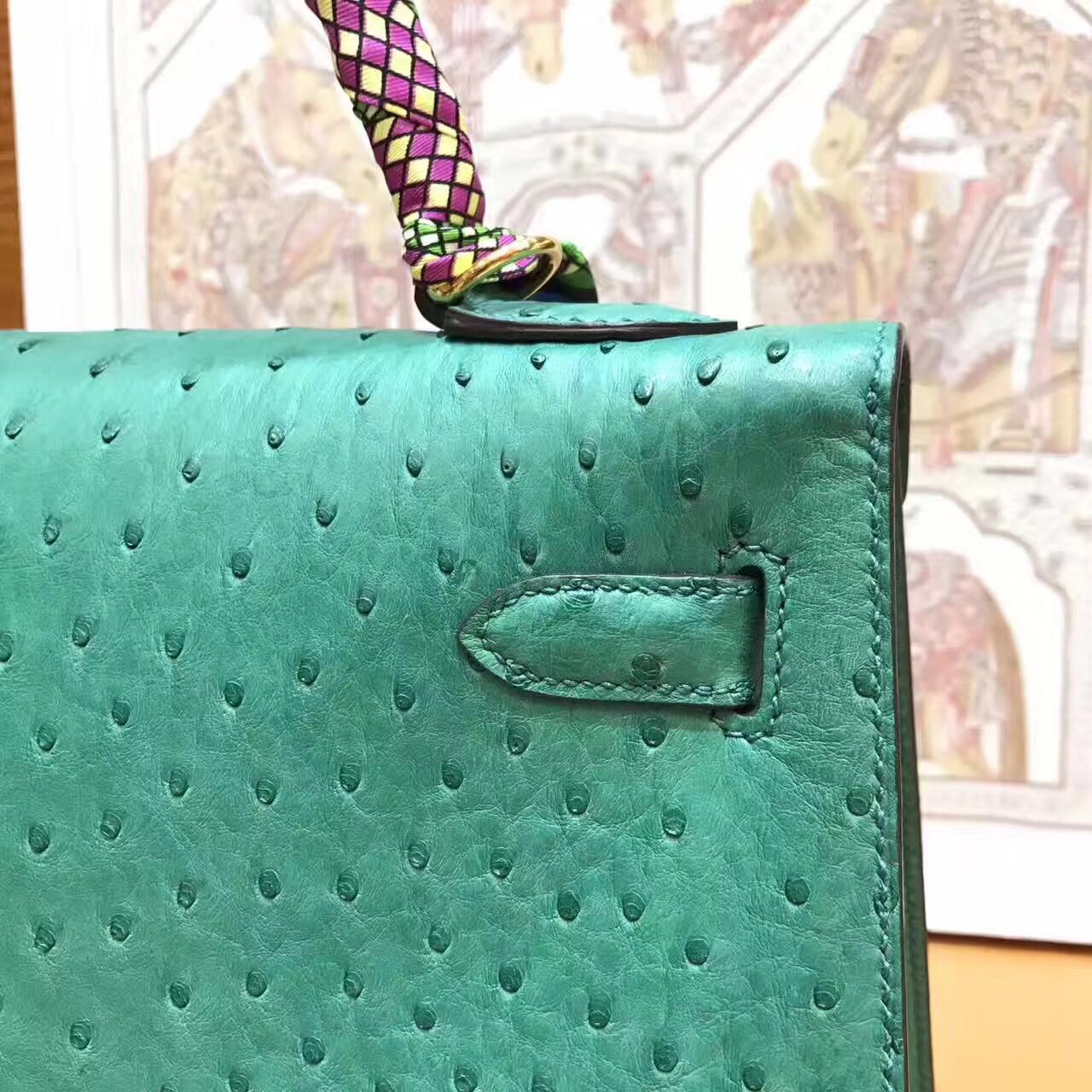 HERMES Ostrich Leather Toto Bag 1788 Green HERMES Ostrich Leather Toto Bag 1788 Green