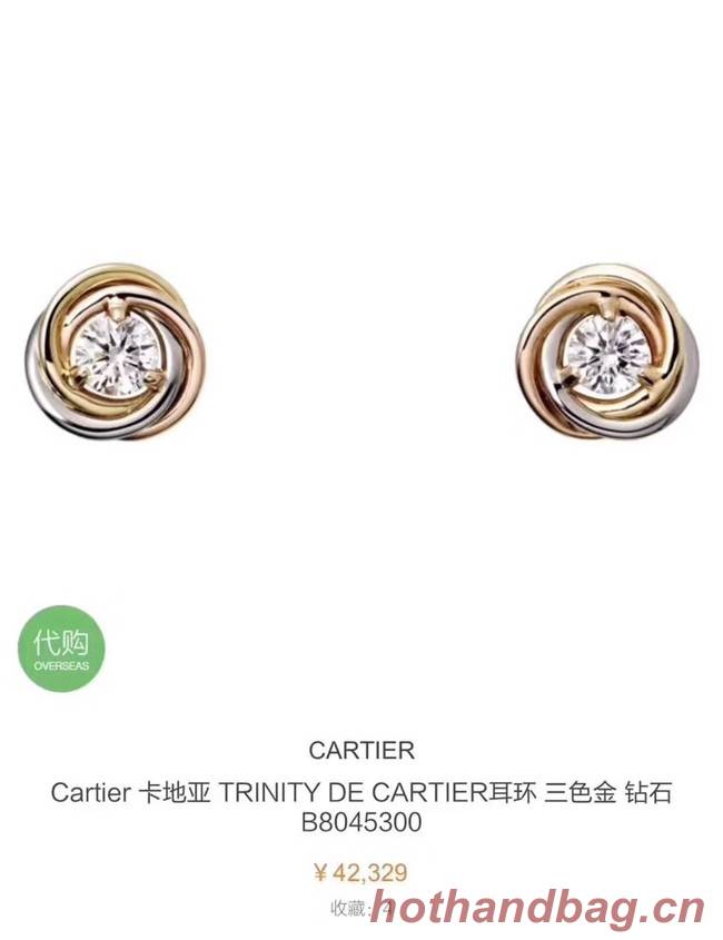 Cartier Earrings CE3467