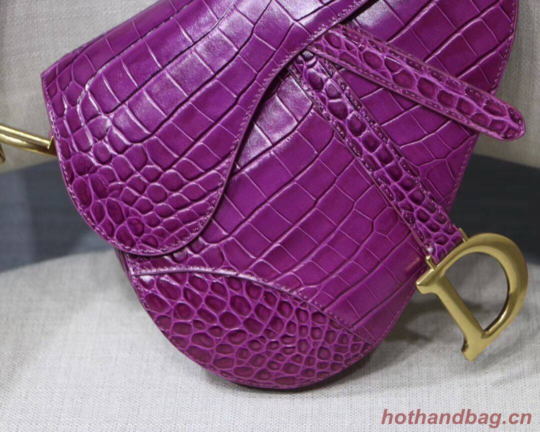Dior SADDLE SOFT CALFSKIN BAG C9045 purple Dior SADDLE SOFT CALFSKIN BAG C9045 purple