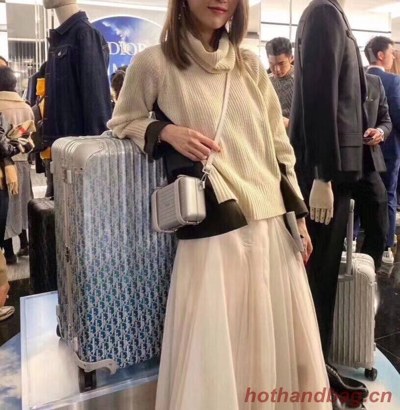 DIORAMA CALFSKIN CLUTCH M2020 silvery