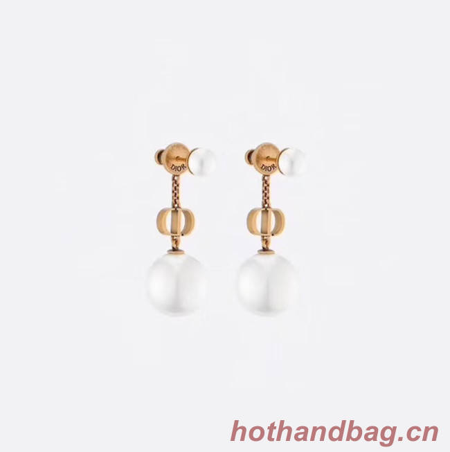 Dior Earrings CE4888
