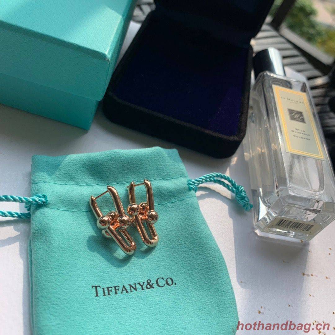 TIFFANY Earrings TE4916 TIFFANY Earrings TE4916