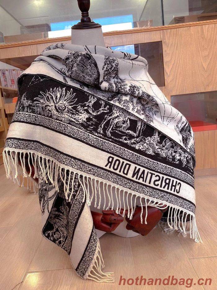 Dior Scarf CD00149