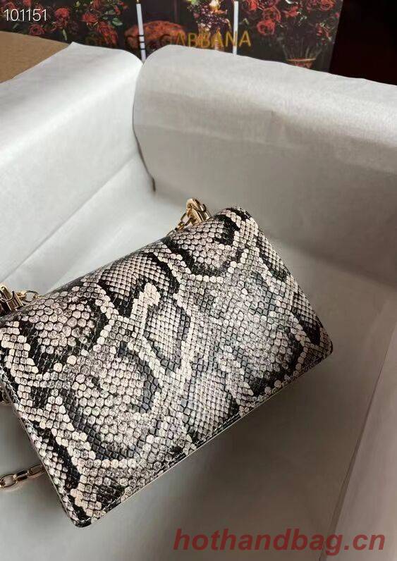 Dolce & Gabbana Origianl serpentine Leather Shoulder Bag 4006-2 brown Dolce & Gabbana Origianl serpentine Leather Shoulder Bag 4006-2 brown