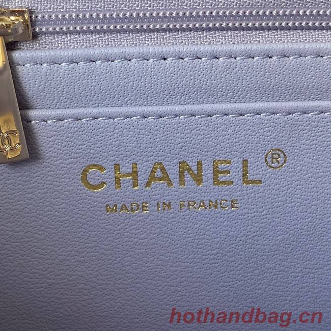 Chanel Sheepskin Leather mini flap bag with top handle AS2431 light purple