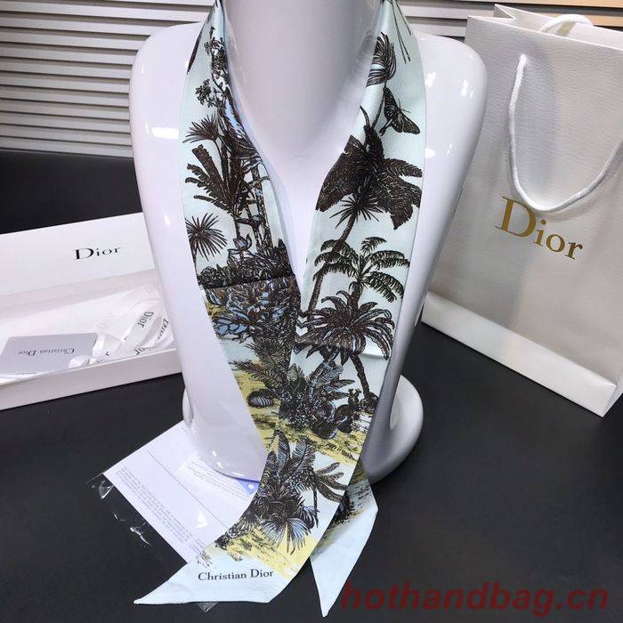 Dior Scarf DIS00002 Dior Scarf DIS00002