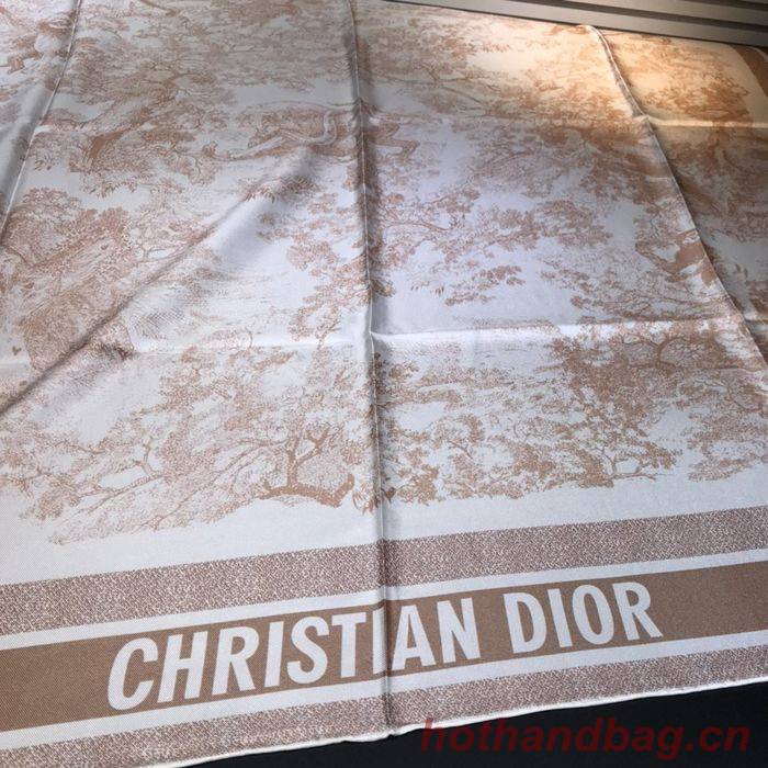 Dior Scarf DIS00060 Dior Scarf DIS00060