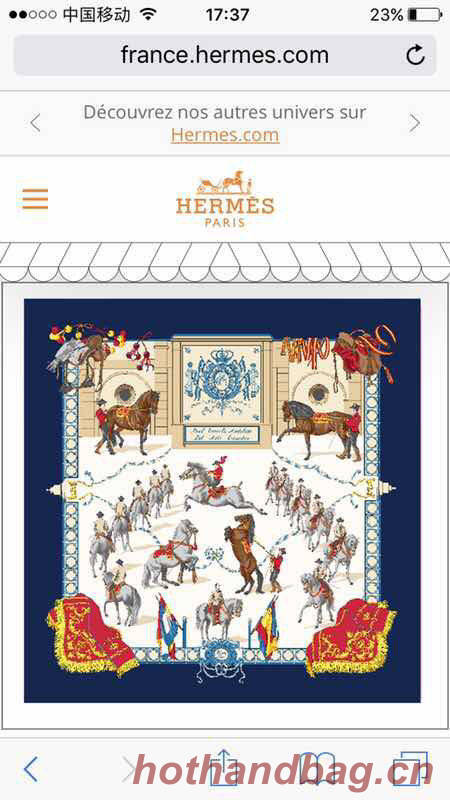 Hermes Scarf HMS00176 Hermes Scarf HMS00176