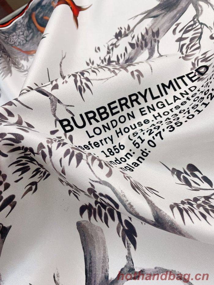 Burberry Scarf BBC00064 Burberry Scarf BBC00064