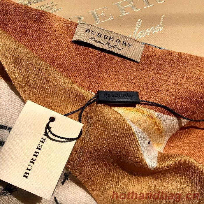 Burberry Scarf BBC00083 Burberry Scarf BBC00083