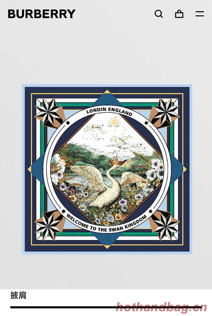 Burberry Scarf BBC00110 Burberry Scarf BBC00110