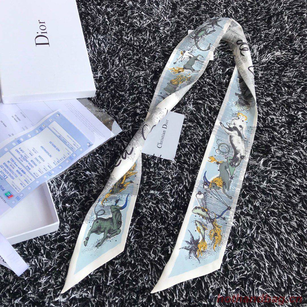 Dior Scarf DIC00005 Dior Scarf DIC00005