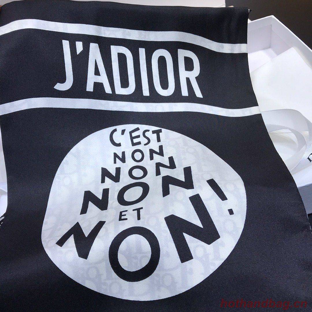 Dior Scarf DIC00026 Dior Scarf DIC00026