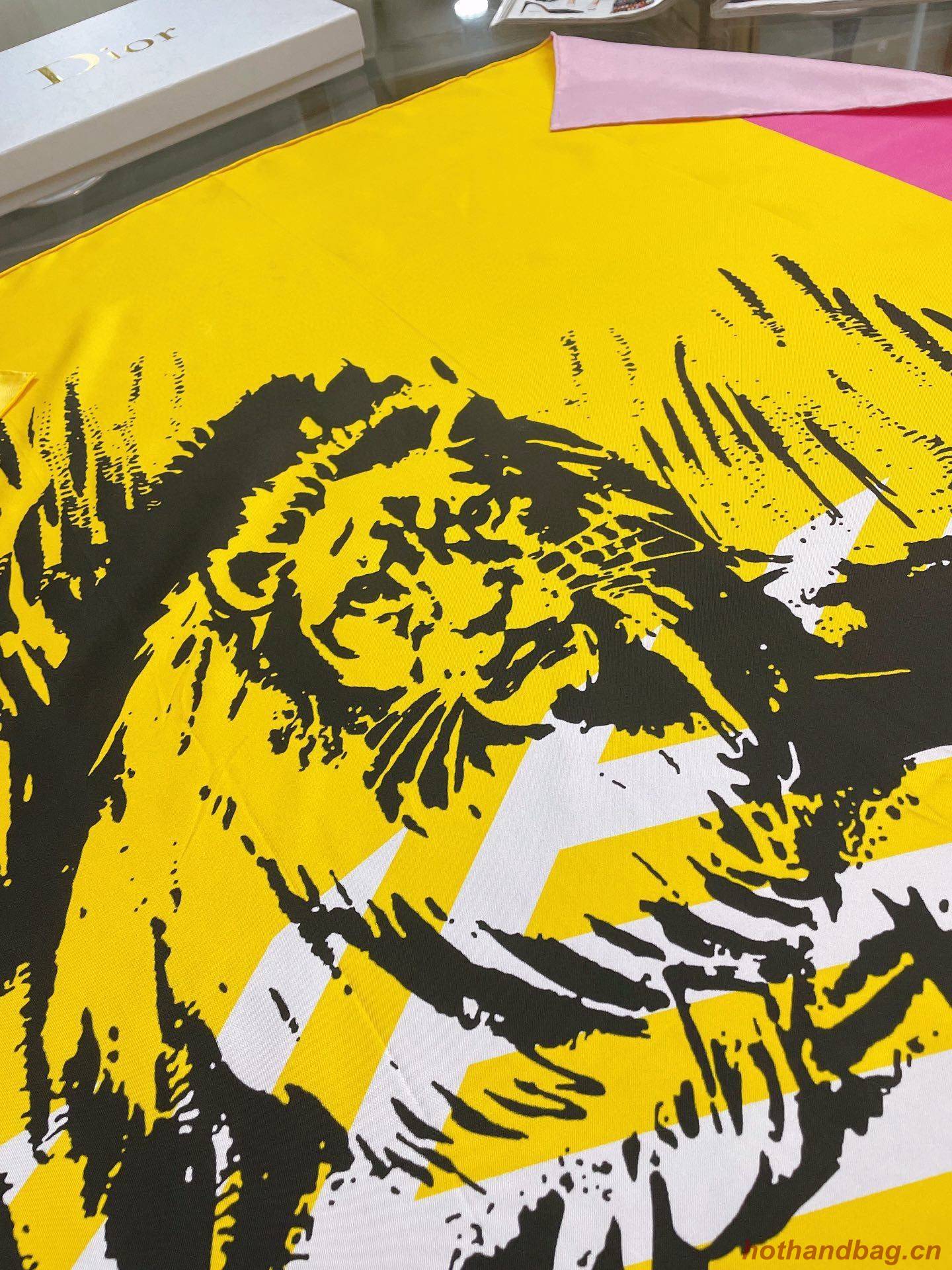 Dior Scarf DIC00064 Dior Scarf DIC00064