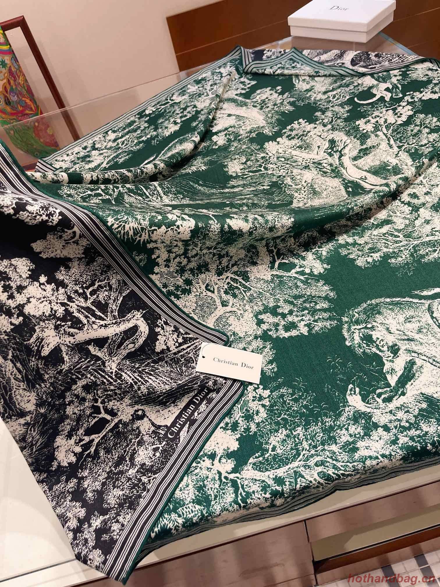 Dior Scarf DIC00147 Dior Scarf DIC00147