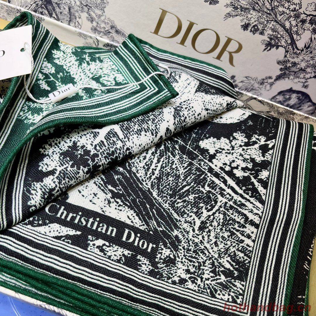 Dior Scarf DIC00147 Dior Scarf DIC00147