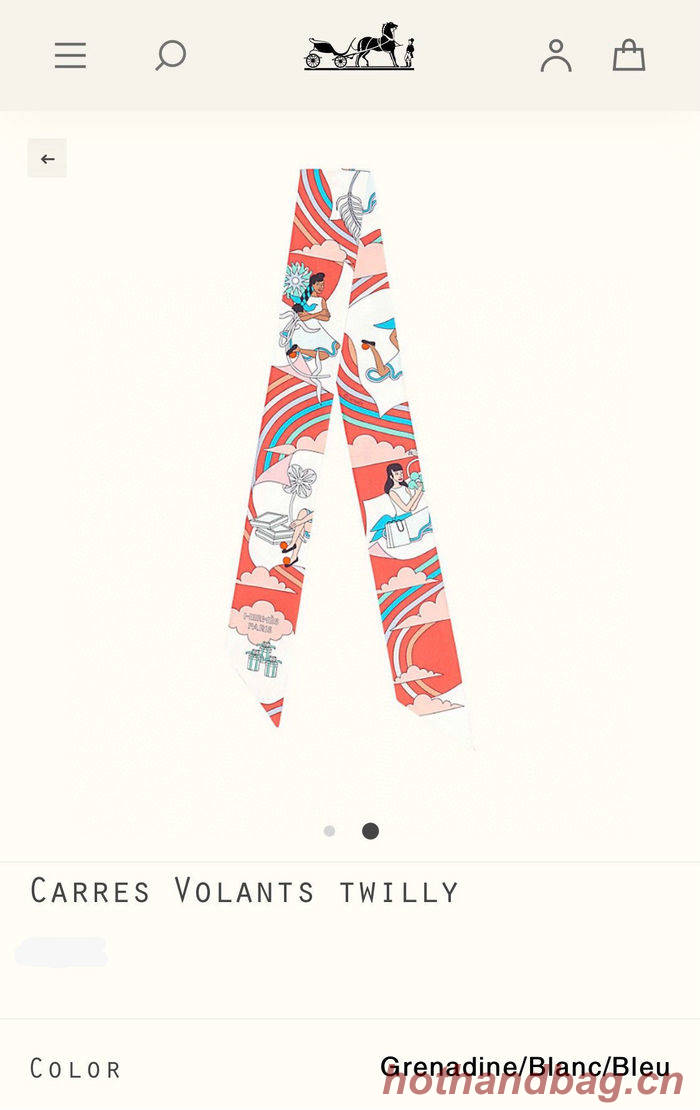 Hermes Scarf HEC00015 Hermes Scarf HEC00015