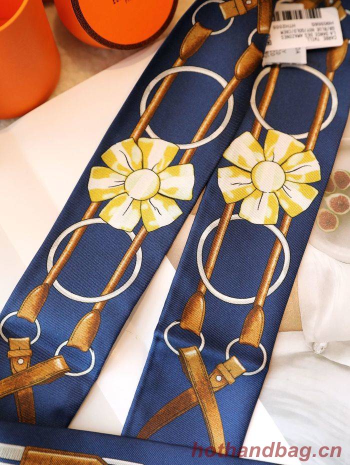 Hermes Scarf HEC00079 Hermes Scarf HEC00079
