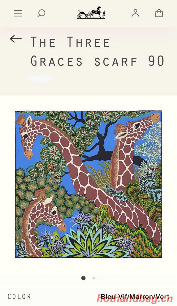 Hermes Scarf HEC00268 Hermes Scarf HEC00268