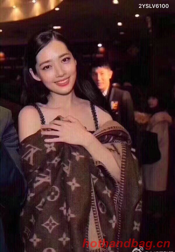 Louis Vuitton Blanket LVC00352