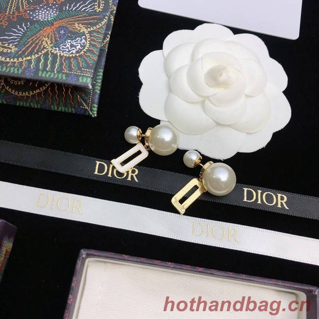 Dior Earrings CE11672