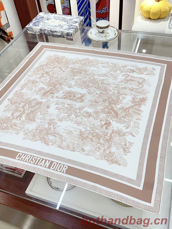 Dior Scarf DIC00333