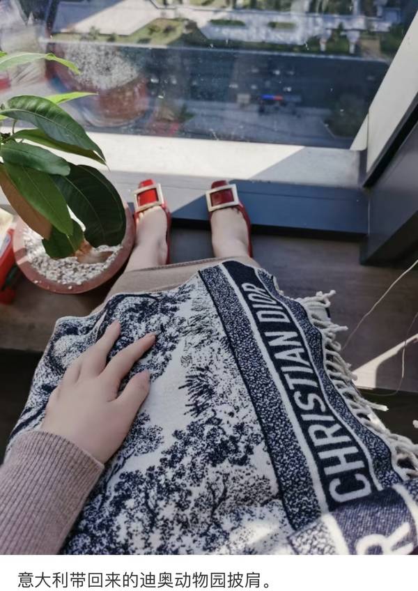 Dior Scarf DIC00475 Dior Scarf DIC00475