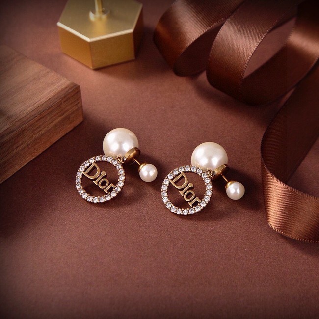Dior Earrings CE15499