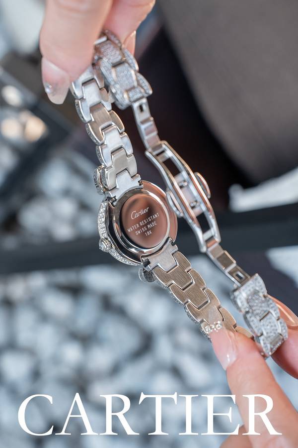 Cartier Watch CTW00734-1 Cartier Watch CTW00734-1