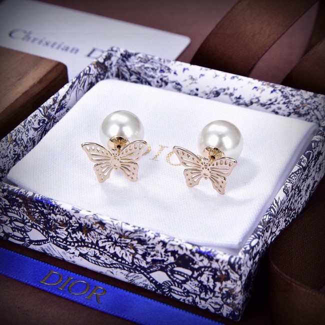 Dior Earring CE16572