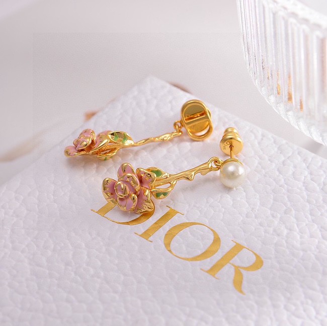 Dior Earring CE16574