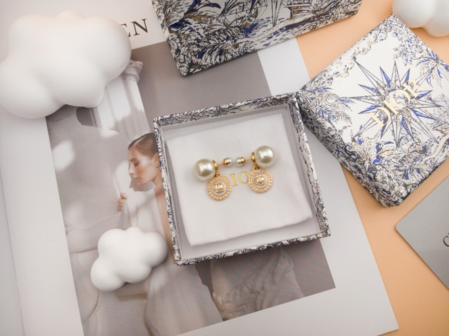 Dior Earring CE16575