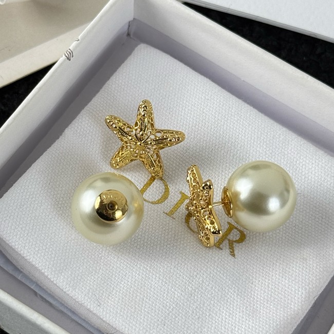 Dior Earring CE16731