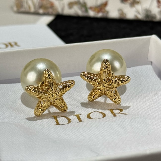 Dior Earring CE16731