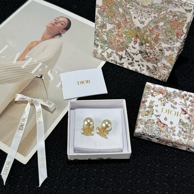 Dior Earring CE16731