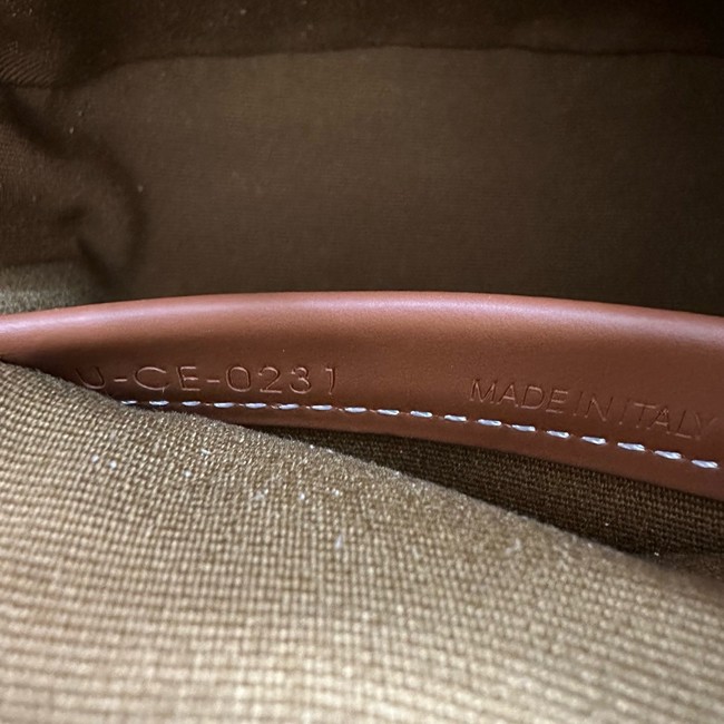 Celine IN TRIOMPHE CANVAS AND CALFSKIN 122262 TAN