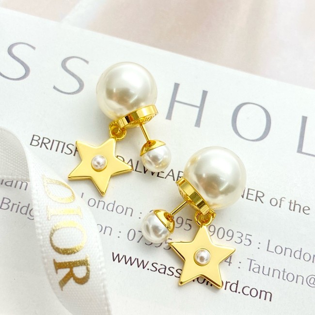 Dior Earring CE16840