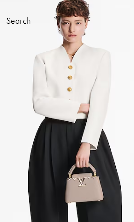 Louis Vuitton Capucines Mini M11341 gray