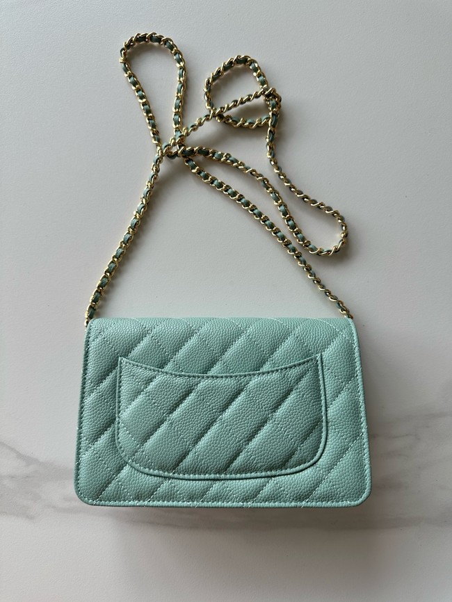 Chanel Classic Wallet On Chain Grained Calfskin AP4241-5