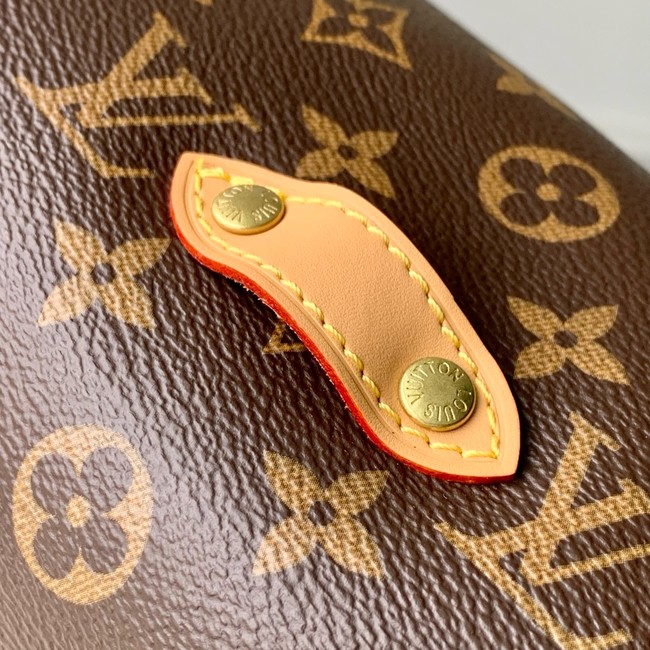 Louis Vuitton Original Monogram Canvas M42254