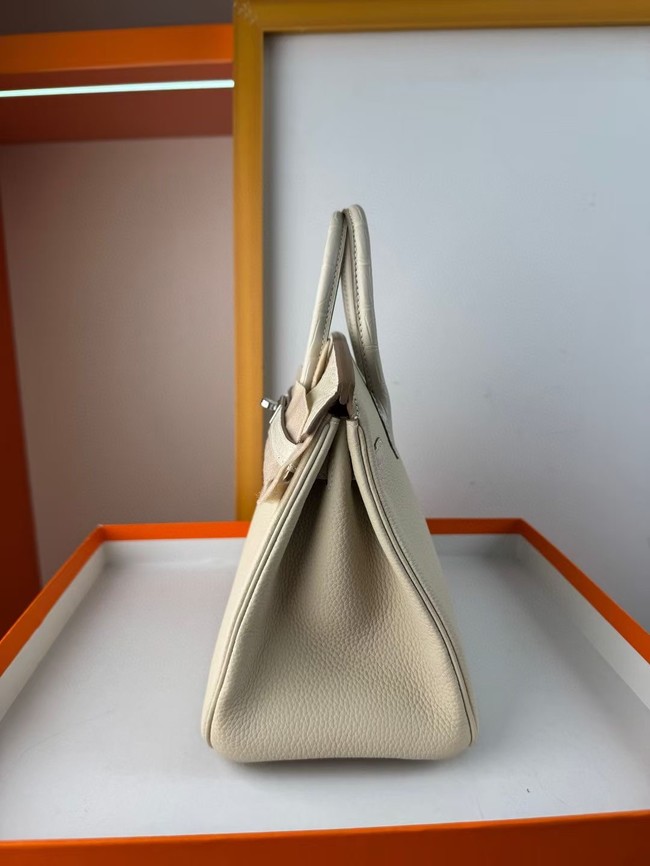 Hermes Birkin Bag Leather Nile crocodile&togo HBK2530-13