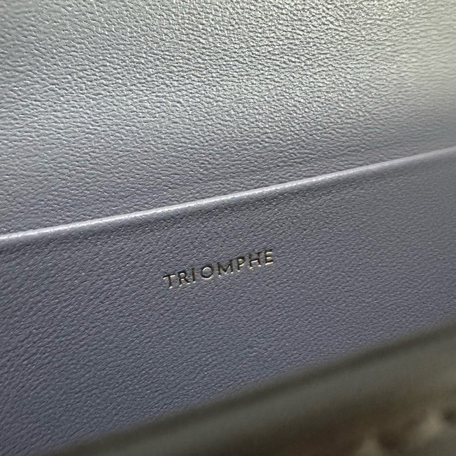 Celine CHAIN SHOULDER BAG TRIOMPHE IN SHINY CALFSKIN 197992 gray