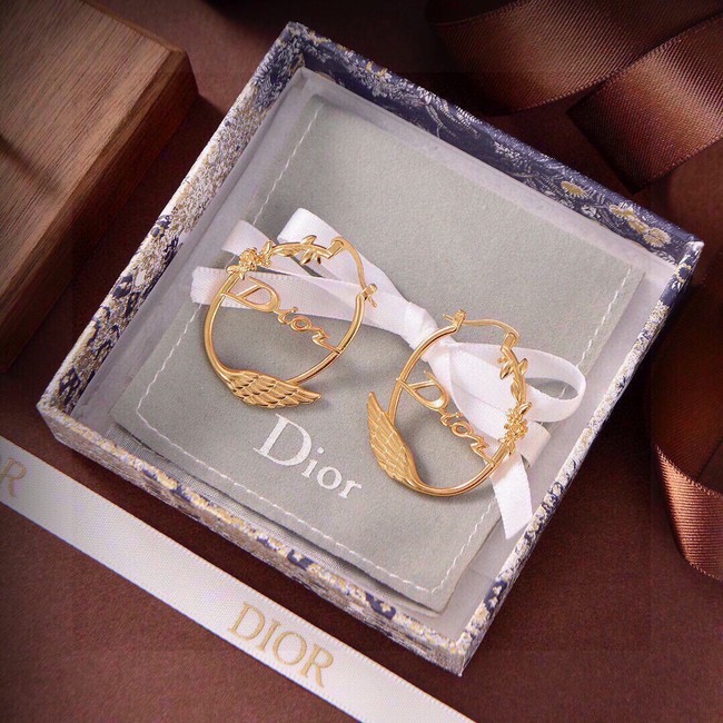Dior Earring CE17014