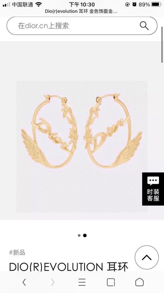 Dior Earring CE17014