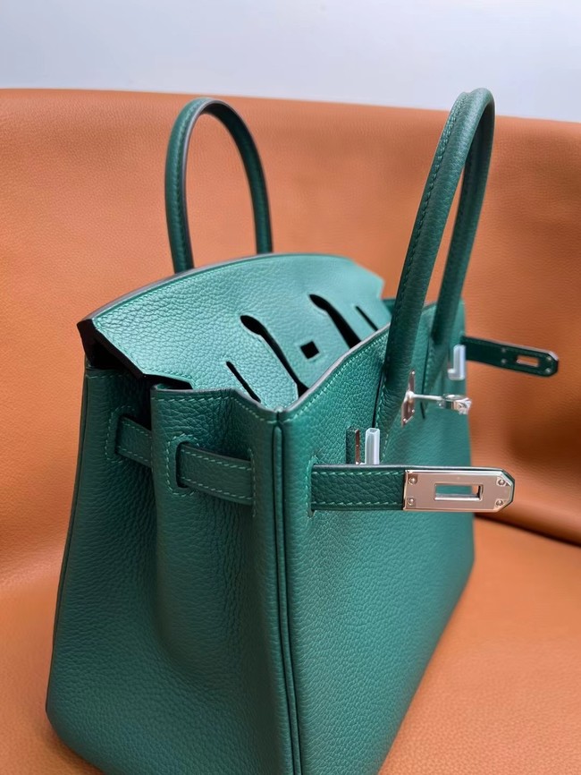 Hermes Birkin Bag togo Leather 5570-17