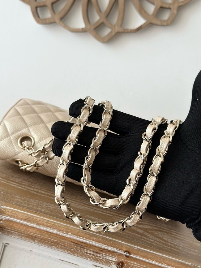 CHANEL Classic 11.12 handbag  A01112-3