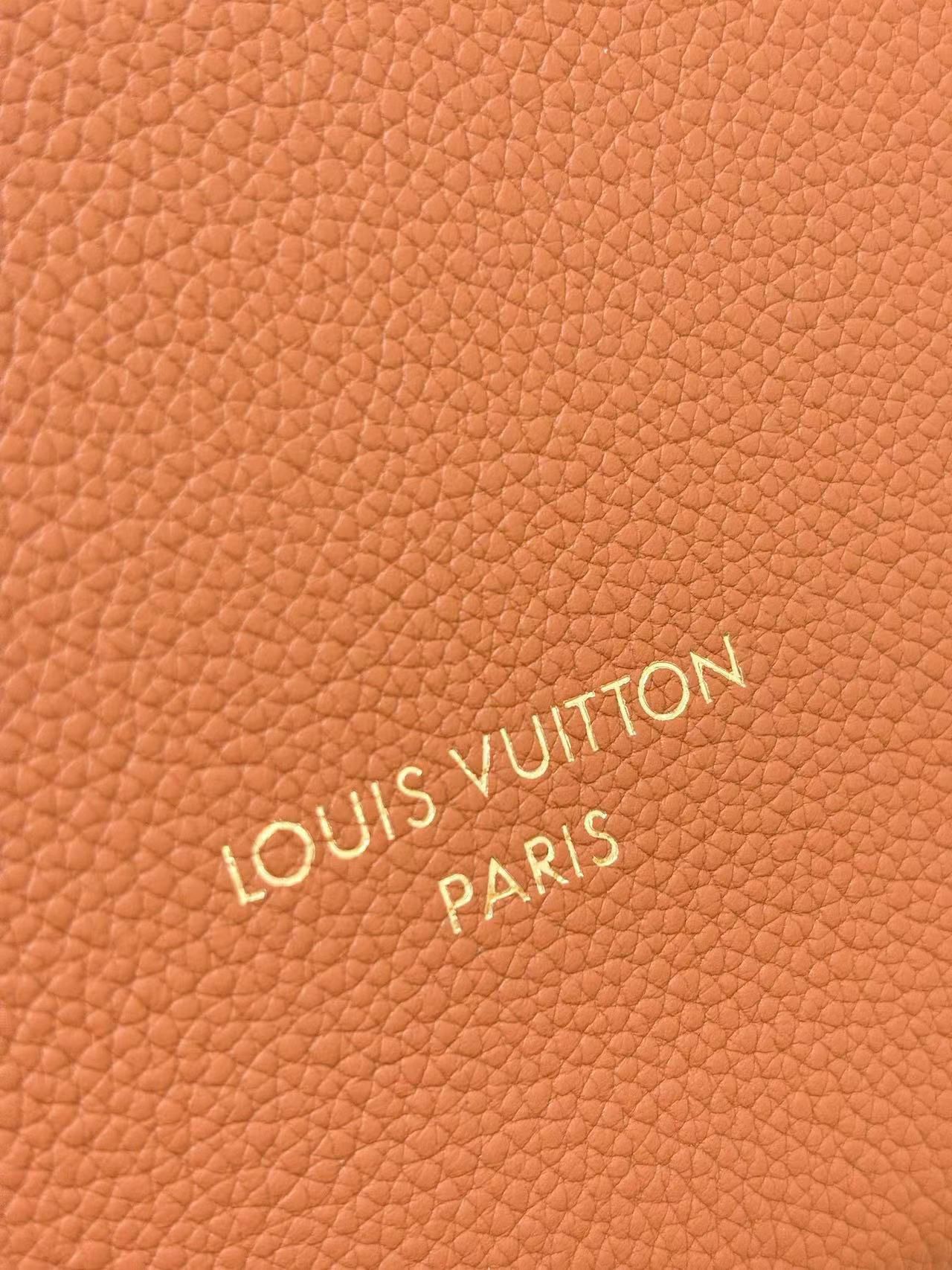 Louis Vuitton Low Key Cookie MM M14642 Brown Louis Vuitton Low Key Cookie MM M14642 Brown
