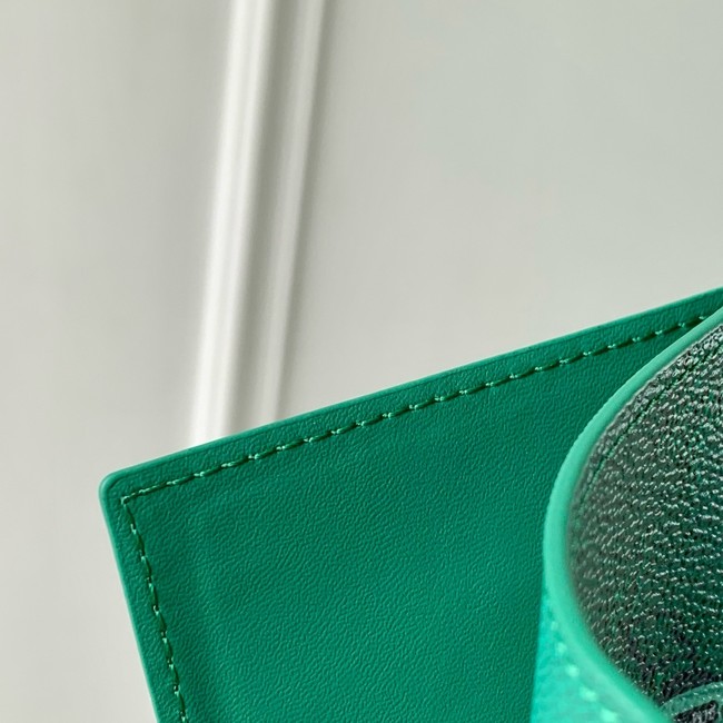 Louis Vuitton NEW Passport Cover M25967 Green