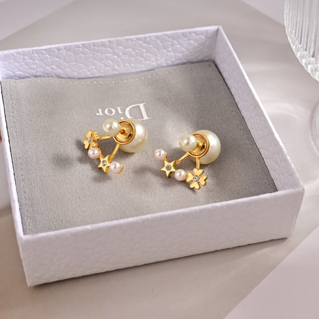 Dior Earrings CE80991